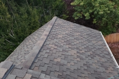 Metal Roofing