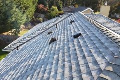 Roofing.